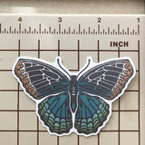 Red Spotted Purple Butterfly Sticker