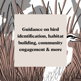 Pocket Nature: Bird-Watching Book