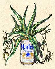 Modelo Beer Can Print