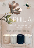 Biophilia: Black Marble ~ Fresh Earth Scented Candle