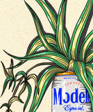Modelo Beer Can Print