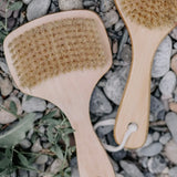 Bamboo Dry Brush