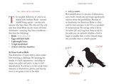 Pocket Nature: Bird-Watching Book
