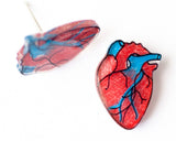 Valentine Anatomic Human Heart Earrings