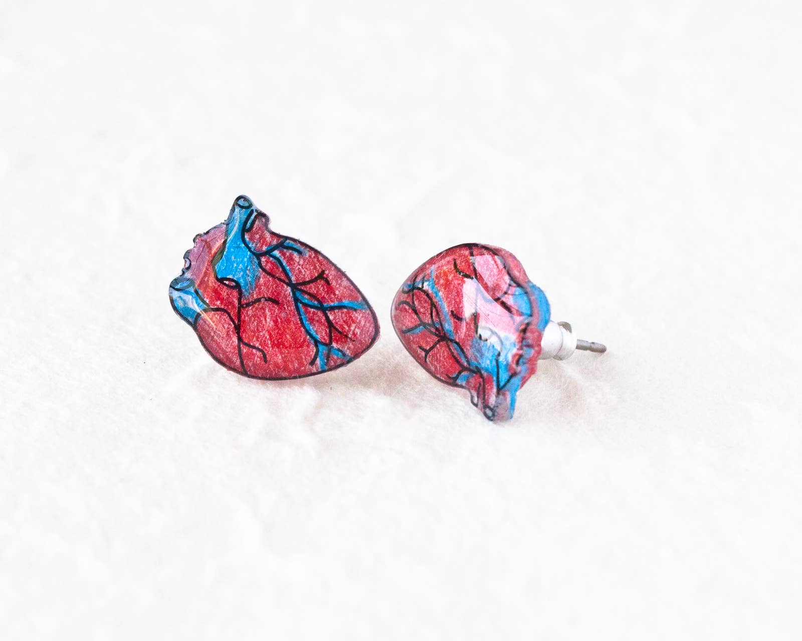 Valentine Anatomic Human Heart Earrings – The Waxwing