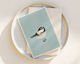 Mountain Chickadee - Little bird Note Cards