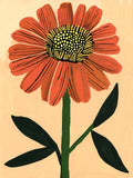 Art Print - Gerbera Daisy