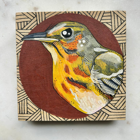 Dear Darlington Original Illustration: Cape May Warbler