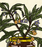 Vegemite Jar Print