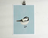 Mountain Chickadee - Little bird Note Cards