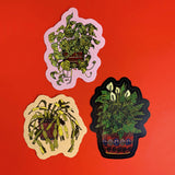 Houseplant Stickers -Weatherproof