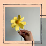 Felt Wildflowers