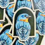 Dear Darlington Bluebird Sticker