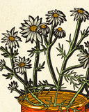 Enamel Mug Print