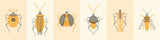 Stamp Bugs
