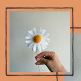 Felt Daisy