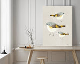 American Redstart Trio - Bird Illustration Print