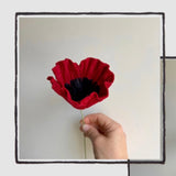 Felt Red Poppy Flower