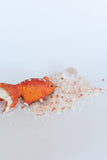 Uplift Mineral Bath Soak