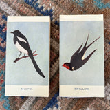 Match - Swallow & Magpie