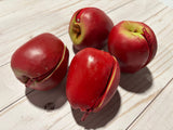 Coin Purse Apple
