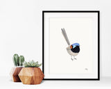 Fairy Wren Print - woodland bird illustration