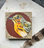 Dear Darlington Original Illustration: Cape May Warbler