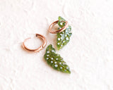 Spotted Begonia Leaf Houseplant Earrings on Rose Gold Hoops