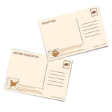 Owls of North America Post Card Pack