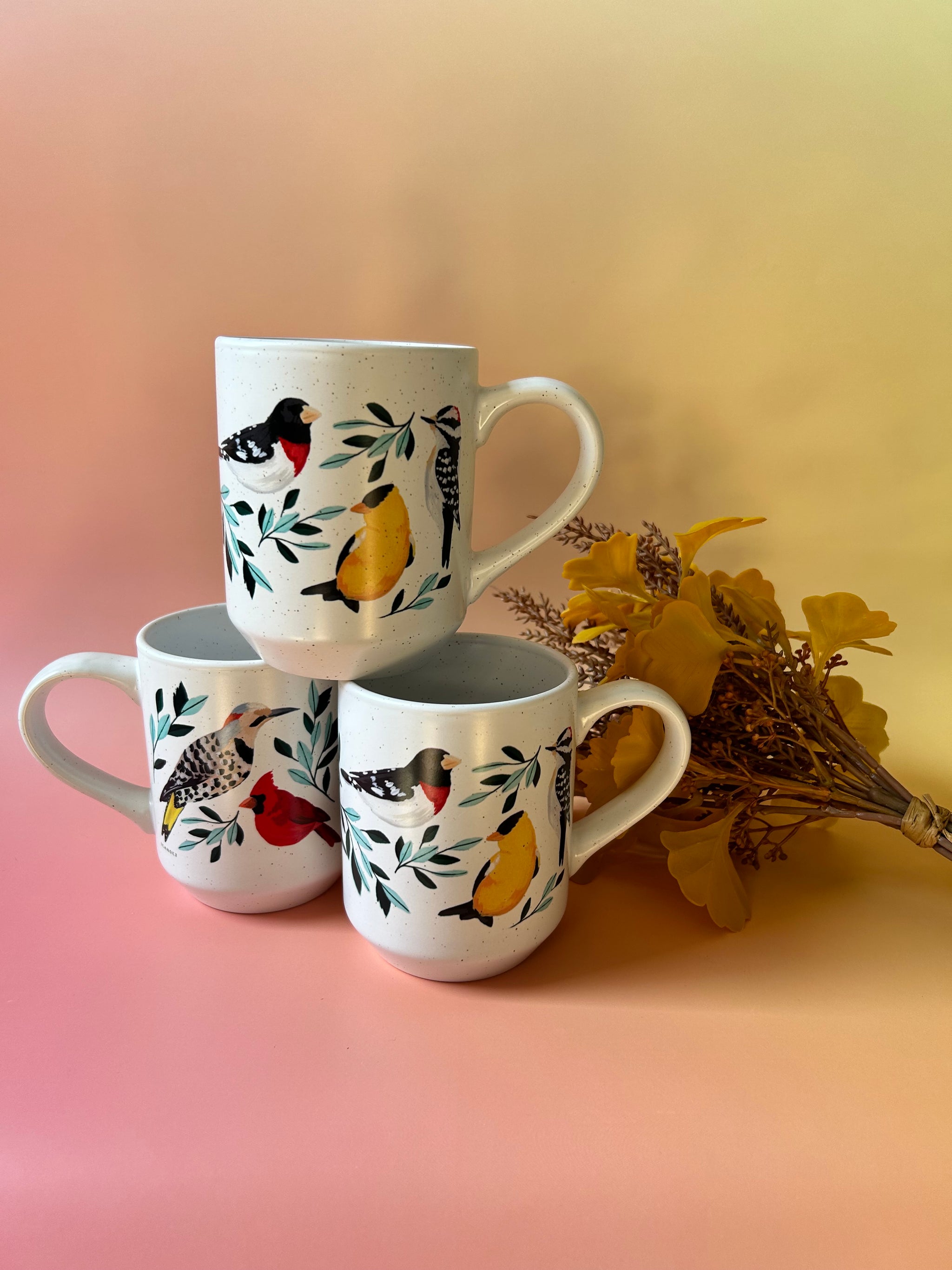 Feathered Friends Mug – The Waxwing