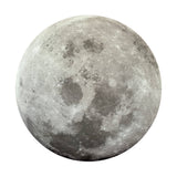 Moon: 100 Piece Puzzle