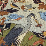 Birds of Eastern North America Puzzle