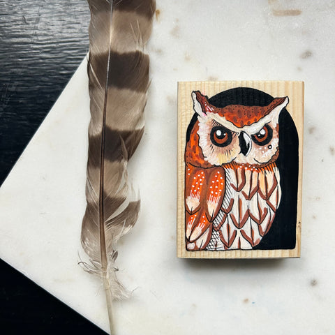 Dear Darlington Original Illustration:Western Screech Owl