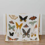 Butterfly Collector Quilt