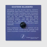 Eastern Bluebird Enamel Pin