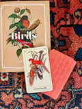 Vintage Birds
