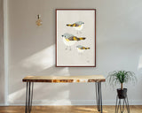 American Redstart Trio - Bird Illustration Print