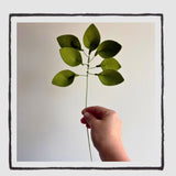 Felt Greenery