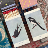 Match - Swallow & Magpie