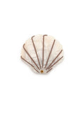 Swing-Hinge Folding Compact Mirror - Seashell - Pearlescent