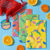 Paper Produce Citrus Notebook Collection