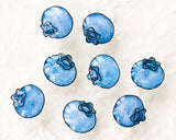 Cute Blueberry Summer Fruit Stud Earrings