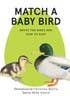 Match a Baby Bird Game