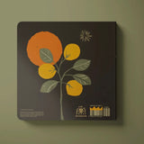 What Do You Dream? Baby Board Book