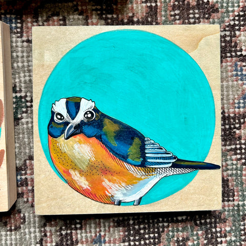 Dear Darlington Original Illustration: White-Browed Scrub Jay