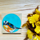 Dear Darlington Original Illustration: White-Browed Scrub Jay