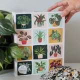 Houseplants Puzzle