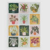 Houseplants Puzzle