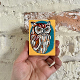 Dear Darlington Original Illustration: Western Screech Owl