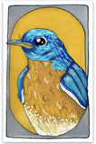 Dear Darlington Bluebird Portrait Sticker